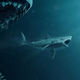 Shark eat shark eat dude world.